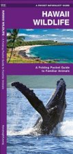 Hawaii Wildlife: An Introduction to Familiar Species