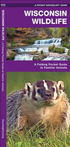 Wisconsin Wildlife: An Introduction to Familiar Species