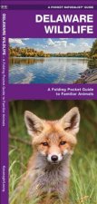 Delaware Wildlife: An Introduction to Familiar Species