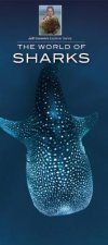 The World of Sharks