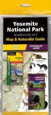 Yosemite National Park Adventure Set