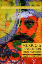 Mexico S Revolution Then and Now