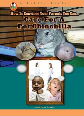 Care for a Pet Chinchilla