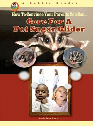 Care for a Pet Sugar Glider