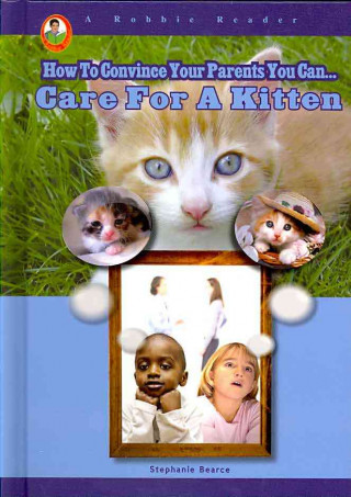 Care for a Pet Kitten