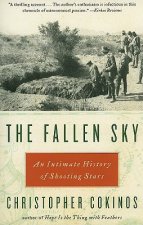 Fallen Sky