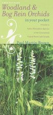 Woodland & Bog Rein Orchids in Your Pocket: A Guide to Native Platanthera Species of the Continental United States and Canada