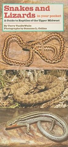 Snakes and Lizards in Your Pocket: A Guide to Reptiles of the Upper Midwest