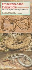 Snakes and Lizards in Your Pocket: A Guide to Reptiles of the Upper Midwest