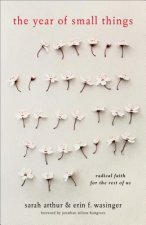 Year of Small Things - Radical Faith for the Rest of Us
