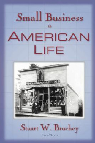 Small Business in American Life