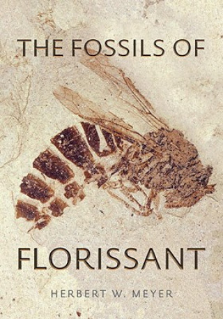 Fossils of Florissant