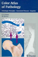Color Atlas of Pathology: Pathologic Principles, Associated Diseases, Sequelae