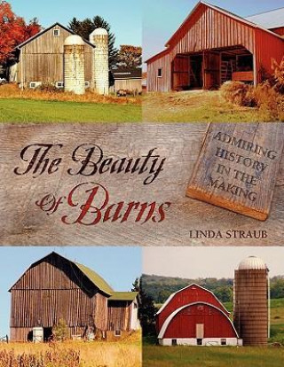 The Beauty of Barns