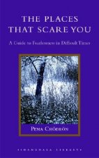 The Places That Scare You: A Guide to Fearlessness in Difficult Times