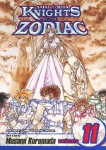 Knights of the Zodiac (Saint Seiya): Volume 11