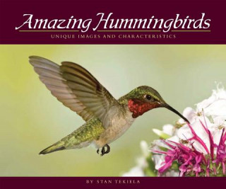 Amazing Hummingbirds