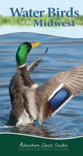 Water Birds of the Midwest