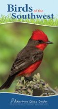 Birds of the Southwest