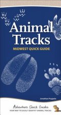 Animal Tracks of the Midwest