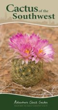 Cactus of the Southwest