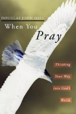 When You Pray: Thinking Your Way Into God's World