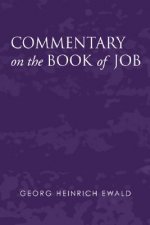 Commentary on the Book of Job