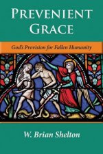 Prevenient Grace: God's Provision for Fallen Humanity