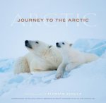 Journey to the Arctic