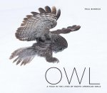Owl: A Year in the Life of North American Owls