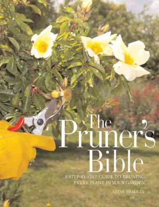 Pruner's Bible