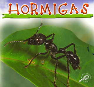Hormigas (Ants)