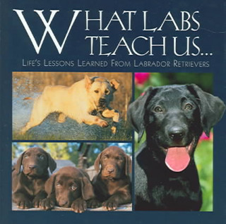 What Labs Teach Us...: Life's Lessons Learned from Labrador Retrievers