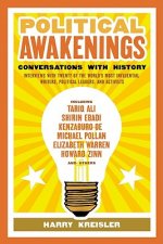 Political Awakenings: Conversations with History: Interviews with Twenty of the World's Most Influential Writers, Thinkers, and Activists