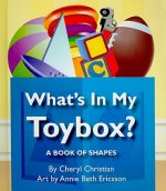 What's in My Toybox?: A Book of Shapes