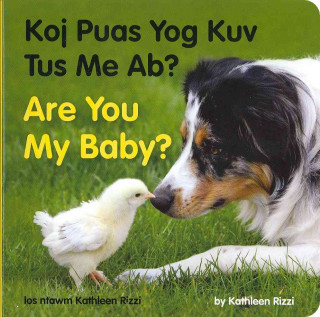 Are You My Baby? (Hmong/English)