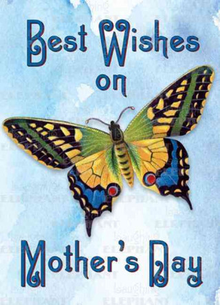 Butterfly - Greeting Card