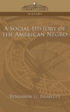 Social History of the American Negro