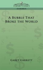A Bubble That Broke the World