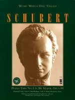 Schubert Piano Trio in B-Flat Major, Op. 99, D898 (2 CD Set)