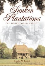 Sunken Plantations: The Santee Cooper Project