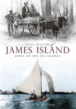 A Brief History of James Island: Jewel of the Sea Islands