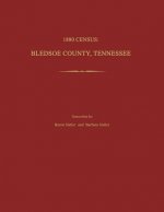 1880 Census, Bledsoe County, Tennessee