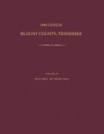 1880 Census, Blount County, Tennessee
