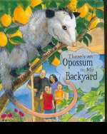 There's an Opossum in My Backyard