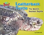 Leatherback Turtle: The World's Heaviest Reptile