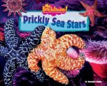 Prickly Sea Stars