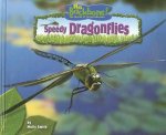 Speedy Dragonflies