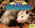 Tricky Opossums