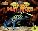 Deadly Poison Dart Frogs